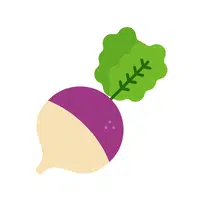 Rutabaga | Winter Vegetables Names in English