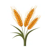 Rye | Healthy Foods Names in English