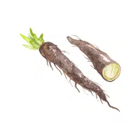 Salsify | Winter Vegetables Names in English