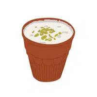 Salted Lassi | Cool Drinks Names in English