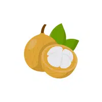 Santol | Tropical Fruits Names in English