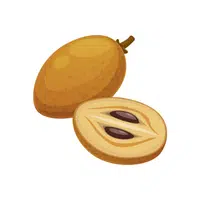 Sapodilla | Tropical Fruits Names in English