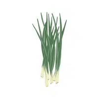 Scallion | Winter Vegetables Names in English