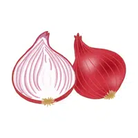 Shallot | Winter Vegetables Names in English