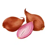 Shallot | Summer Vegetables Names in English