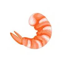 Shrimp