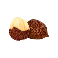Snake Fruit