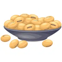 Soybeans | Healthy Foods Names in English