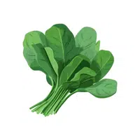 Spinach | Foods Names in English