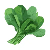 Spinach | Healthy Foods Names in English