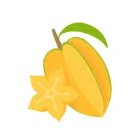 Starfruit | Tropical Fruits Names in English