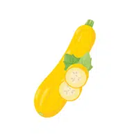 Summer squash