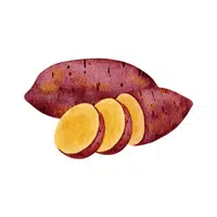 Sweet Potato