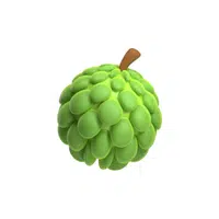 Sweetsop