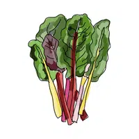 Swiss chard | Winter Vegetables Names in English