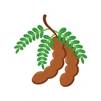 Tamarind | Tropical Fruits Names in English