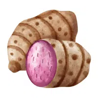 Taro root