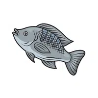 Tilapia | Healthy Foods Names in English