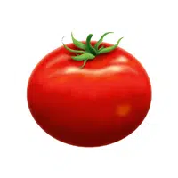 Tomato | Summer Vegetables Names in English