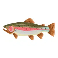 Trout | Healthy Foods Names in English