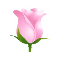 Tulip | iPhone Emojis Names in English