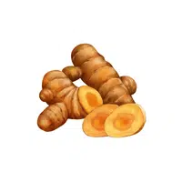 Turmeric root | Winter Vegetables Names in English