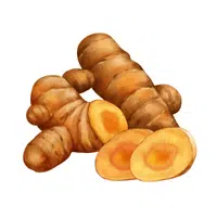 Turmeric root | Summer Vegetables Names in English