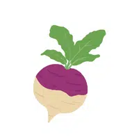 Turnip | Summer Vegetables Names in English