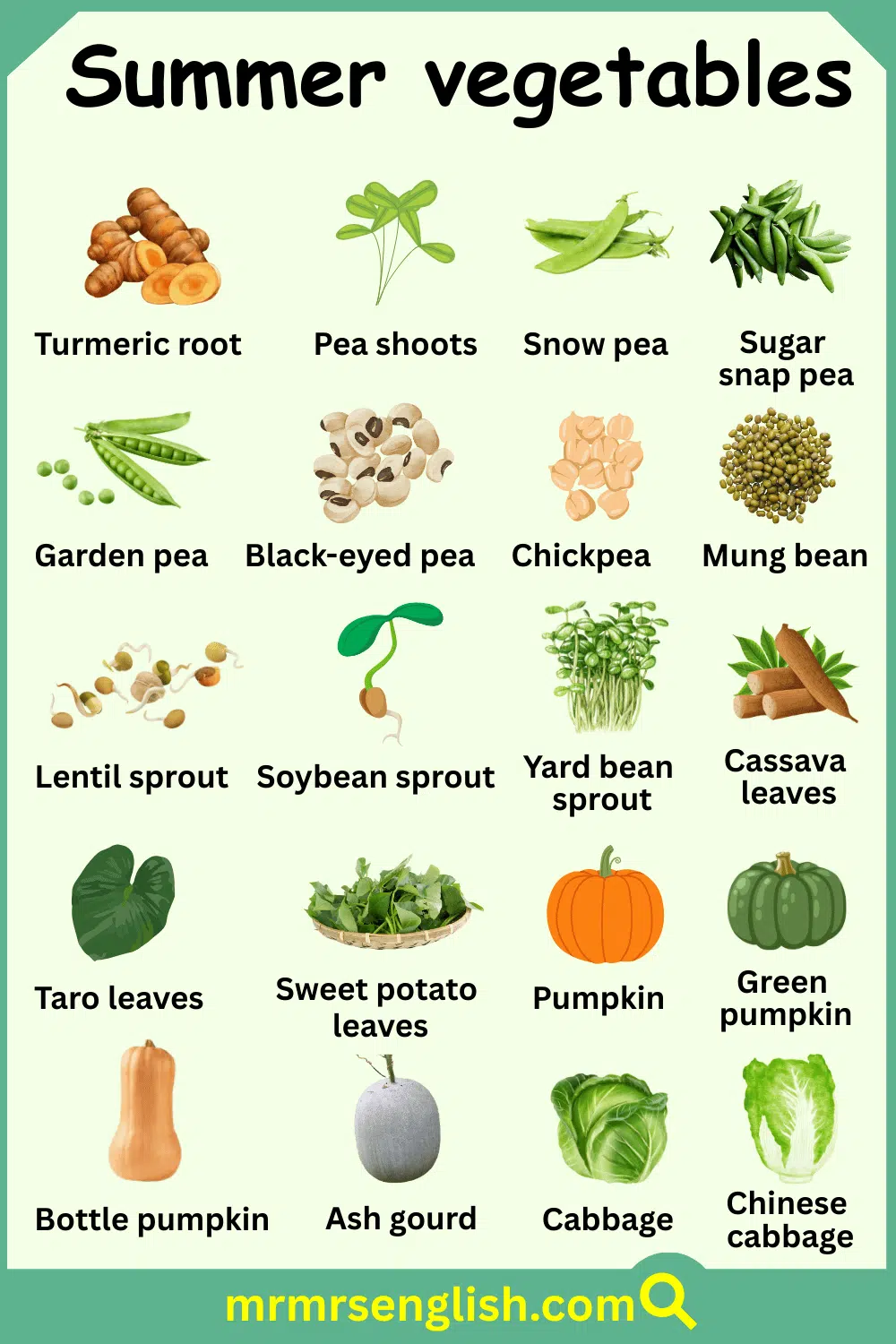 Vegetables names and their Pictures