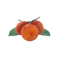 Velvet Apple
