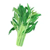 Water spinach | Summer Vegetables Names in English