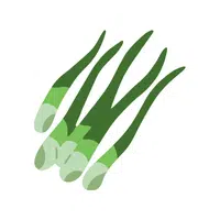 Welsh onion | Winter Vegetables Names in English