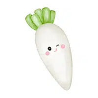 White radish | Summer Vegetables Names in English