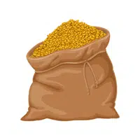Whole Wheat