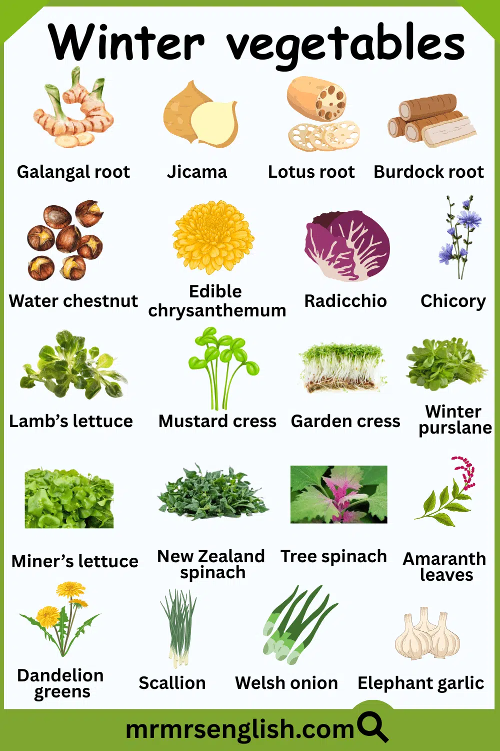 Winter Vegetable name in English and Pictures