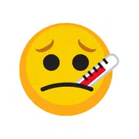 With Thermometer | Emojis Names in English