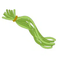 Yardlong bean | Summer Vegetables Names in English