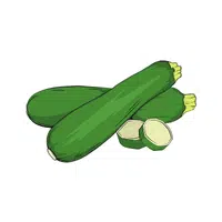 Zucchini