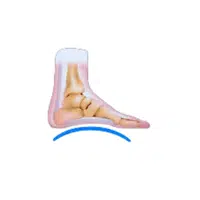 Arch | Woman Body Parts Names in English