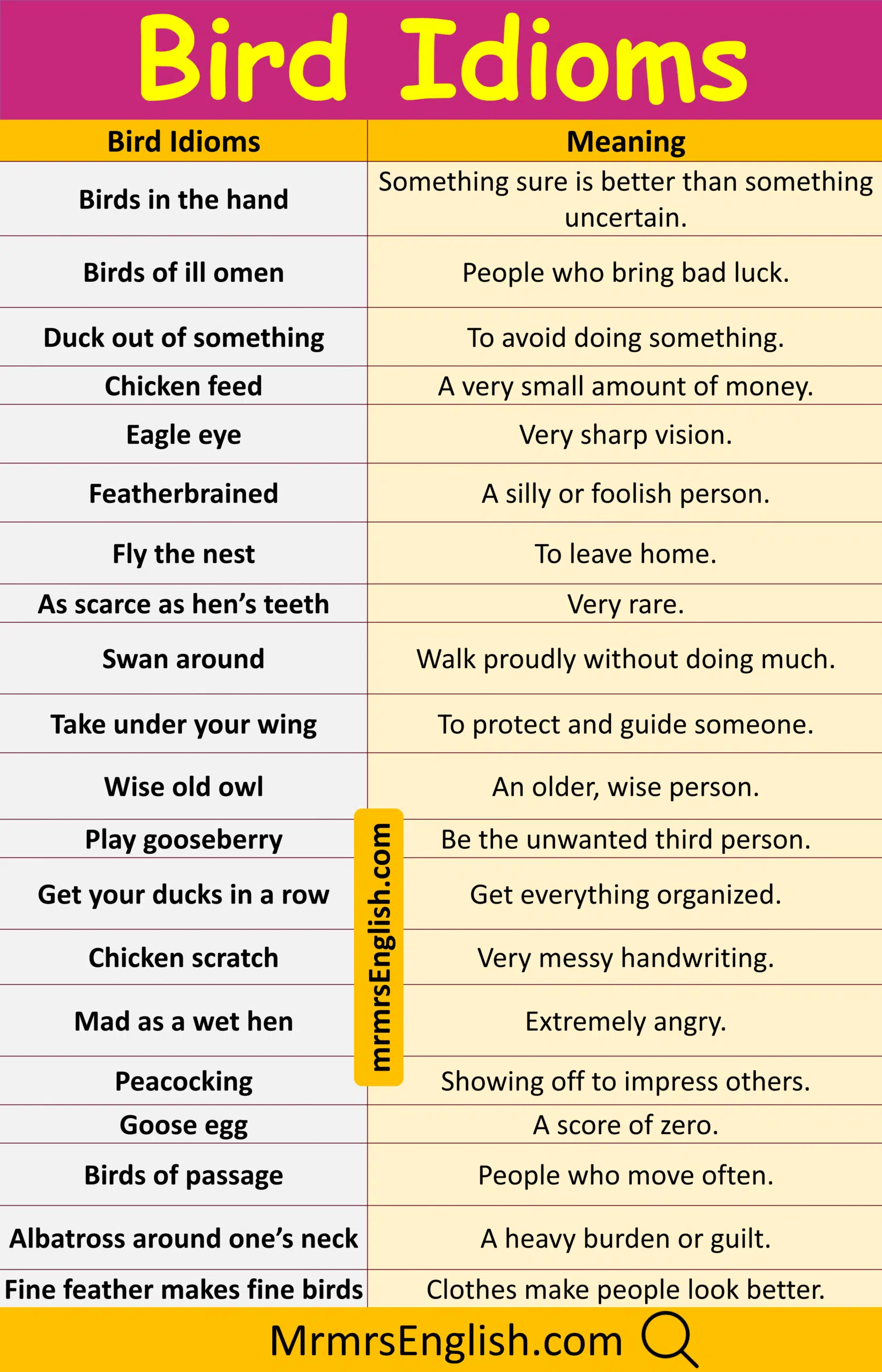 Bird idioms in English with their Pictures