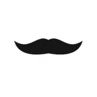 Bold Chevron | Mustache Styles Names in English