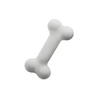 Bone | Woman Body Parts Names in English