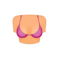 Breast | Woman Body Parts Names in English