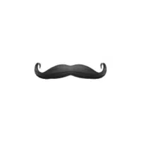Connoisseur | Mustache Styles Names in English