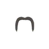 Drooping Horseshoe | Mustache Styles Names in English