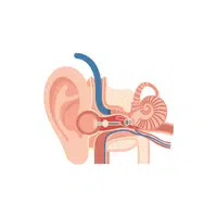 Ear canal