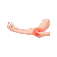 Elbow | Woman Body Parts Names in English