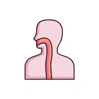 Esophagus | Woman Body Parts Names in English
