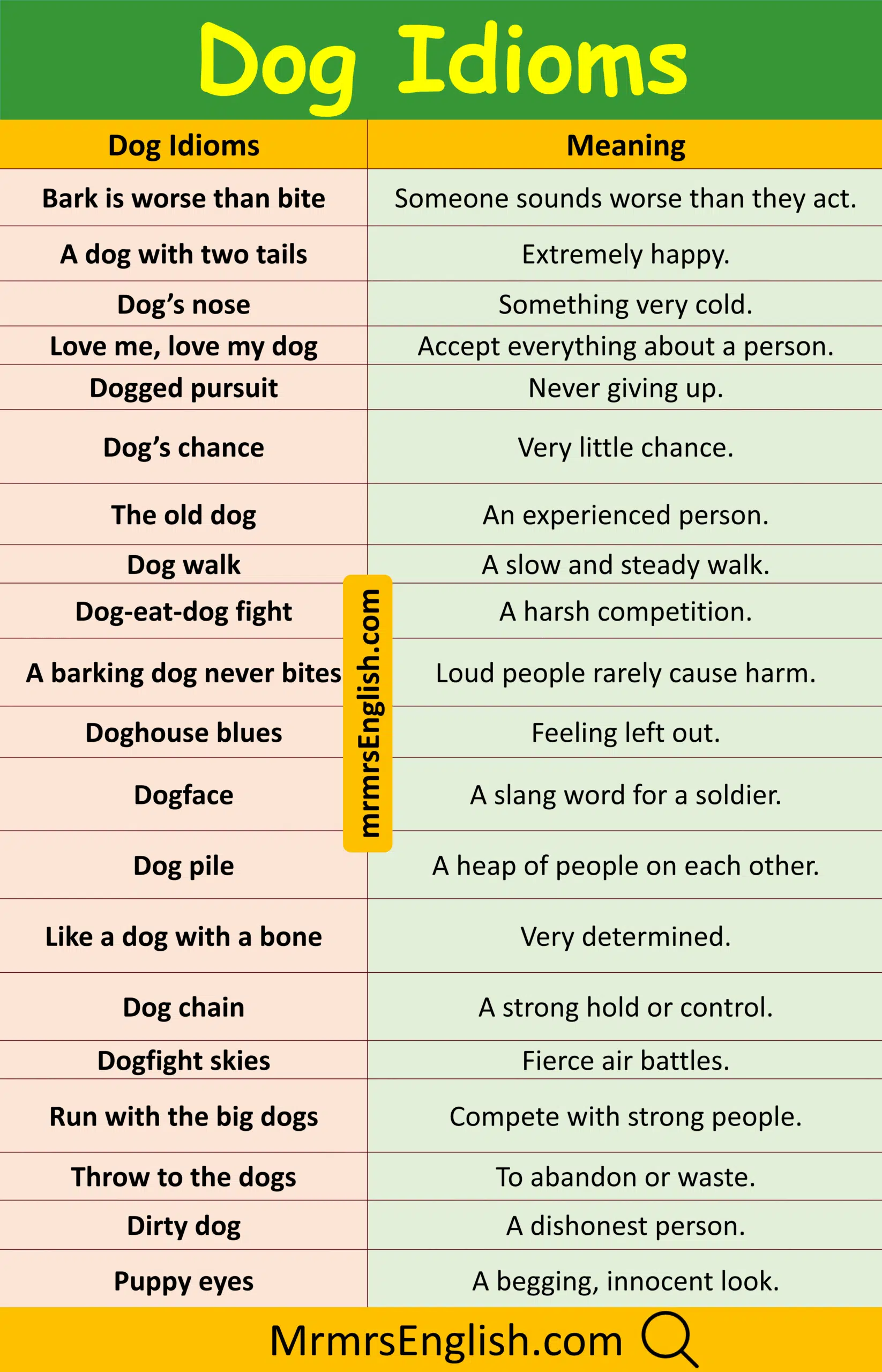 Essential Dog idioms and their meanings and Pictures