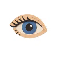 Eyelid | Woman Body Parts Names in English
